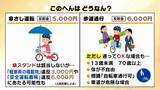 「【どんなときに反則金？】自転車の“青切符”違反行為は113種類…「傘さし運転」など“解釈の余地”あるケースも　取締り強化時間は午前8時・午後5時頃　新ルールを徹底解説」の画像3