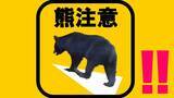 「「クマ目撃」京都で相次ぐ…右京区の路上では親子らしき３頭　『発見したら大声出さずゆっくり後退しながら避難』警察など注意呼びかけ」の画像1