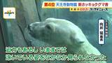 「【迫力】“水の中を泳ぐホッキョクグマ”も観られる！天王寺動物園の新「ホッキョクグマ舎」がオープン　ホウちゃんが水にザバーン！」の画像1
