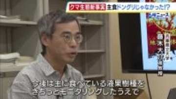 クマの生態めぐり新事実　主食は「ドングリ」ではなく「液果類」兵庫県立大学の研究チームが発表　「実際に何を食べているかを裏付けることで、出没予測の精度を高めることができる」