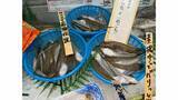 「魚庭（なにわ）の海づくりカーニバル開催！地魚がずらり　大阪府・吉村知事「都会のそばにおいしい魚がたくさん」『全国豊かな海づくり大会』まであと100日でイベント　」の画像2