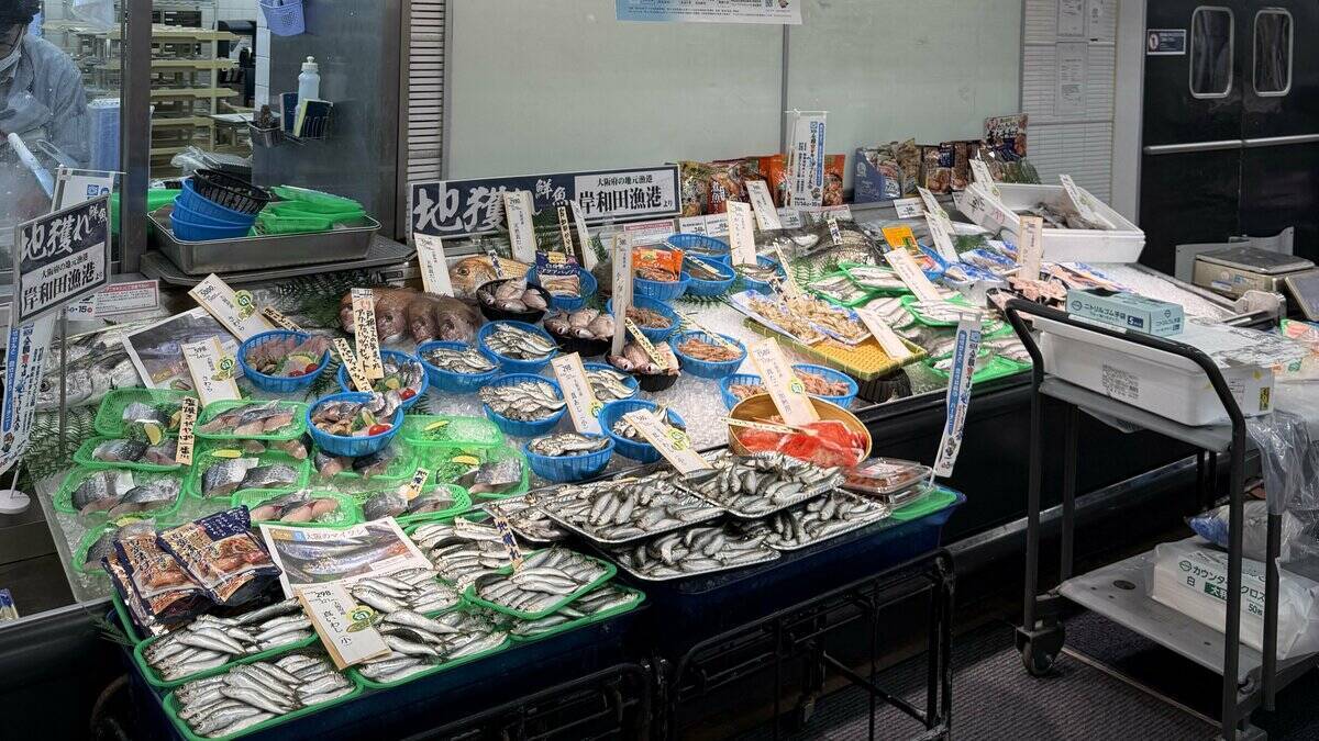 魚庭（なにわ）の海づくりカーニバル開催！地魚がずらり　大阪府・吉村知事「都会のそばにおいしい魚がたくさん」『全国豊かな海づくり大会』まであと100日でイベント　