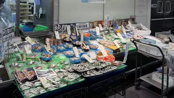 「魚庭（なにわ）の海づくりカーニバル開催！地魚がずらり　大阪府・吉村知事「都会のそばにおいしい魚がたくさん」『全国豊かな海づくり大会』まであと100日でイベント　」の画像