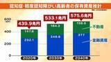 「【認知症とお金】「金を盗んだだろう」高齢者が銀行に電話繰り返す→認知症を疑われ口座凍結…解除に必要な『成年後見制度』とは？費用の目安は月額2万円？【専門家解説】」の画像2