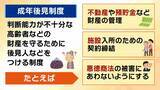 「【認知症とお金】「金を盗んだだろう」高齢者が銀行に電話繰り返す→認知症を疑われ口座凍結…解除に必要な『成年後見制度』とは？費用の目安は月額2万円？【専門家解説】」の画像5