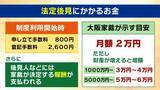 「【認知症とお金】「金を盗んだだろう」高齢者が銀行に電話繰り返す→認知症を疑われ口座凍結…解除に必要な『成年後見制度』とは？費用の目安は月額2万円？【専門家解説】」の画像9