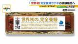 「【完全養殖ウナギ】世界初の試験販売へ！半世紀にわたる研究…最大の謎は『赤ちゃんのエサ』現在は”国家機密”？　「中国で稚魚乱獲も」絶滅危惧種・ウナギの救世主となるか」の画像1