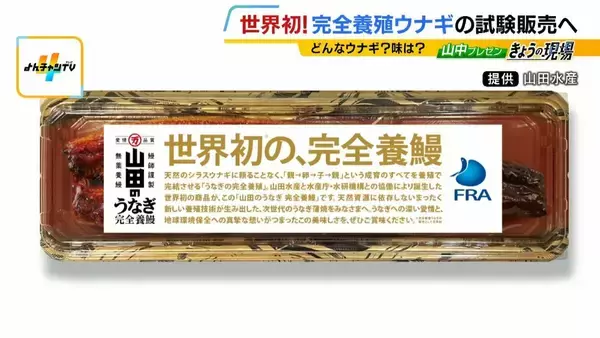【完全養殖ウナギ】世界初の試験販売へ！半世紀にわたる研究…最大の謎は『赤ちゃんのエサ』現在は”国家機密”？　「中国で稚魚乱獲も」絶滅危惧種・ウナギの救世主となるか