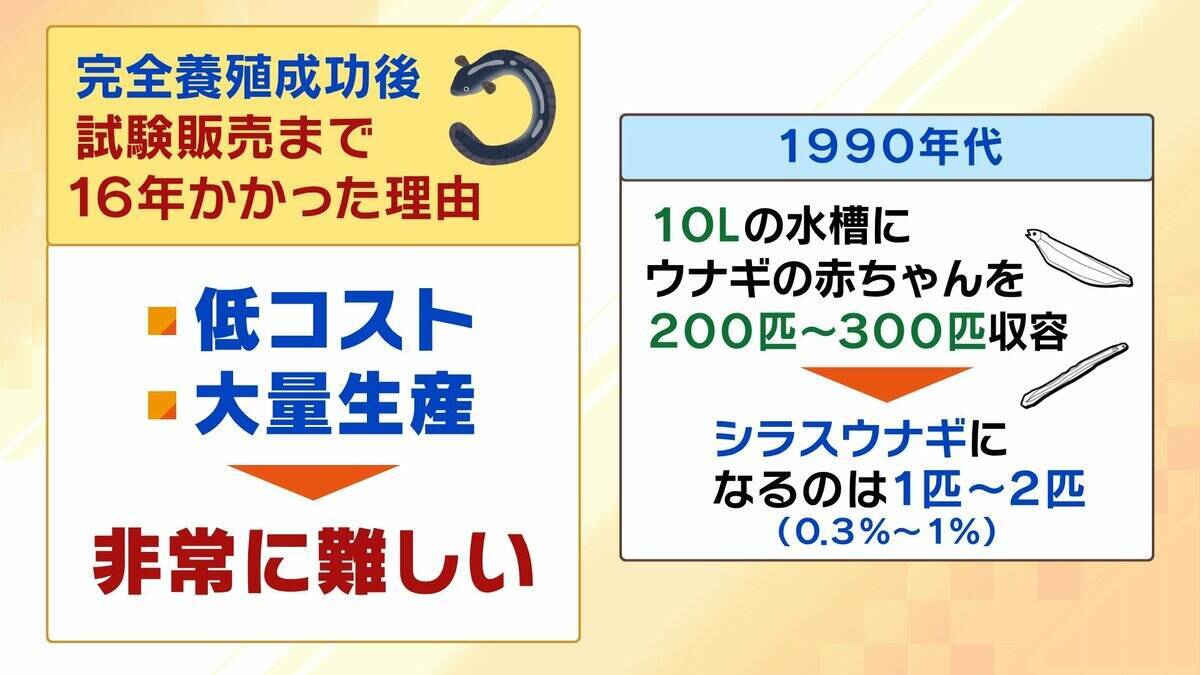 【完全養殖ウナギ】世界初の試験販売へ！半世紀にわたる研究…最大の謎は『赤ちゃんのエサ』現在は”国家機密”？　「中国で稚魚乱獲も」絶滅危惧種・ウナギの救世主となるか