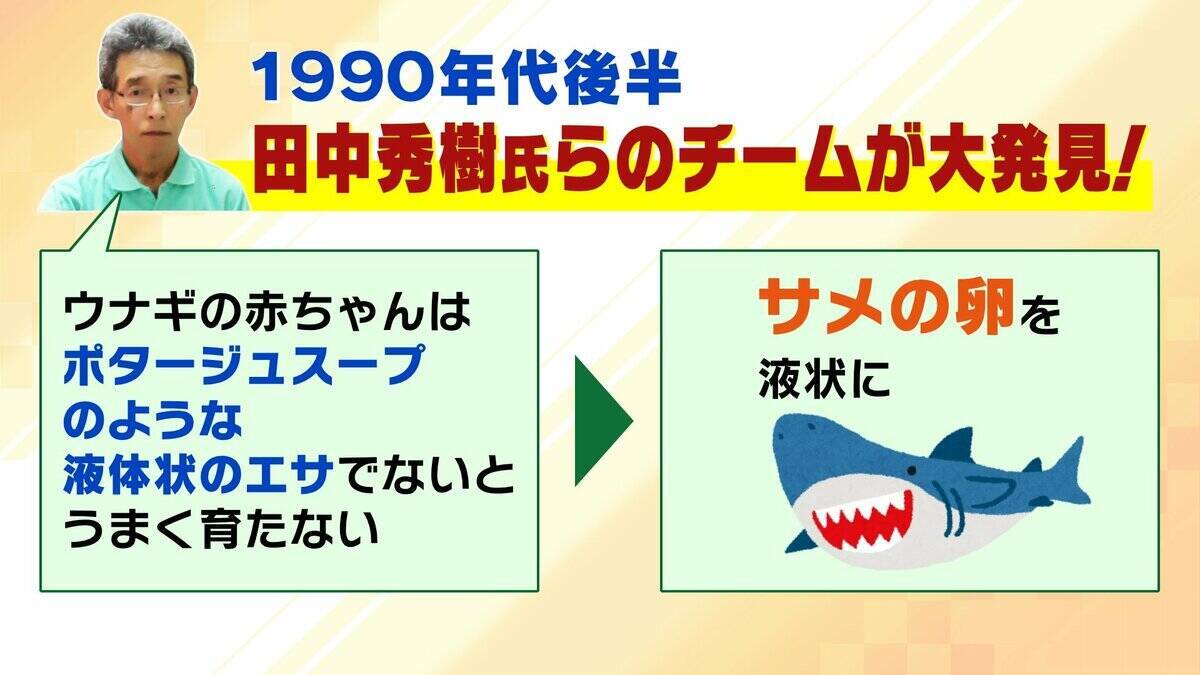 【完全養殖ウナギ】世界初の試験販売へ！半世紀にわたる研究…最大の謎は『赤ちゃんのエサ』現在は”国家機密”？　「中国で稚魚乱獲も」絶滅危惧種・ウナギの救世主となるか
