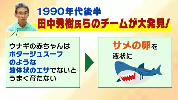 「【完全養殖ウナギ】世界初の試験販売へ！半世紀にわたる研究…最大の謎は『赤ちゃんのエサ』現在は”国家機密”？　「中国で稚魚乱獲も」絶滅危惧種・ウナギの救世主となるか」の画像