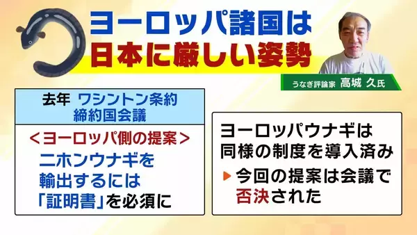 「【完全養殖ウナギ】世界初の試験販売へ！半世紀にわたる研究…最大の謎は『赤ちゃんのエサ』現在は”国家機密”？　「中国で稚魚乱獲も」絶滅危惧種・ウナギの救世主となるか」の画像