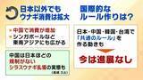 「【完全養殖ウナギ】世界初の試験販売へ！半世紀にわたる研究…最大の謎は『赤ちゃんのエサ』現在は”国家機密”？　「中国で稚魚乱獲も」絶滅危惧種・ウナギの救世主となるか」の画像7