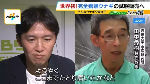 「【完全養殖ウナギ】世界初の試験販売へ！半世紀にわたる研究…最大の謎は『赤ちゃんのエサ』現在は”国家機密”？　「中国で稚魚乱獲も」絶滅危惧種・ウナギの救世主となるか」の画像