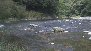 川遊び中の事故か…徳島・鮎喰川でウェットスーツ姿の64歳男性の遺体を発見妻から前夜に「帰ってこない」と通報
