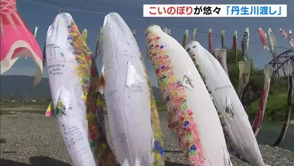 【関西の“春”】こいのぼり悠々と　和歌山・九度山町で「丹生川渡し」、京都・天橋立で恒例の一斉清掃　美しい「白砂青松」保全のため
