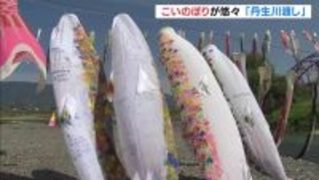 【関西の“春”】こいのぼり悠々と　和歌山・九度山町で「丹生川渡し」、京都・天橋立で恒例の一斉清掃　美しい「白砂青松」保全のため