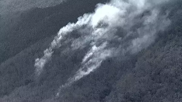 「【速報】「裏の山が燃えている」大阪・能勢町で山林火災　近くで草刈りしていた男性が手などにやけど　「タバコの不始末が原因か」と警察に話す」の画像