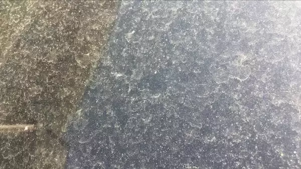 「【黄砂情報】11日ー12日に日本に黄砂接近か　いつどのあたりに？気象庁が予測【黄砂シミュレーション】」の画像