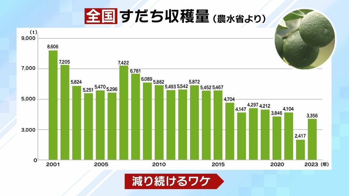 【すだちがピンチ】生産量は約20年で「半減」農家減少・高齢化が背景に？関西人の定番『旭ポンズ』にも影響…新品種『勝浦1号』は苦境救うか