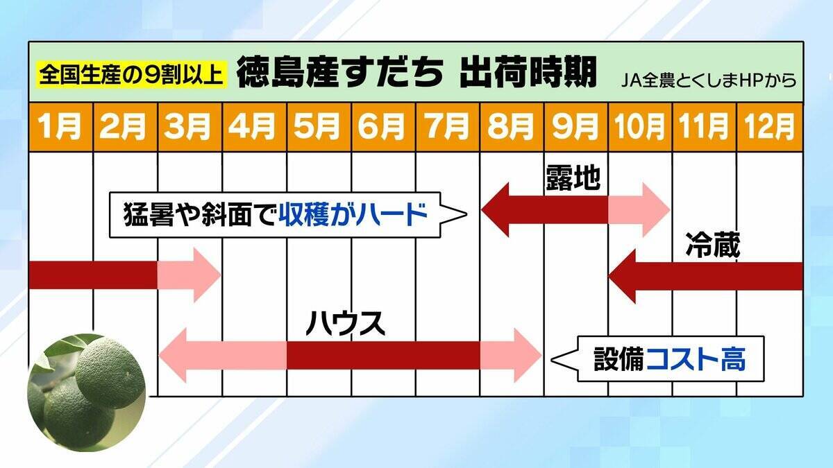 【すだちがピンチ】生産量は約20年で「半減」農家減少・高齢化が背景に？関西人の定番『旭ポンズ』にも影響…新品種『勝浦1号』は苦境救うか