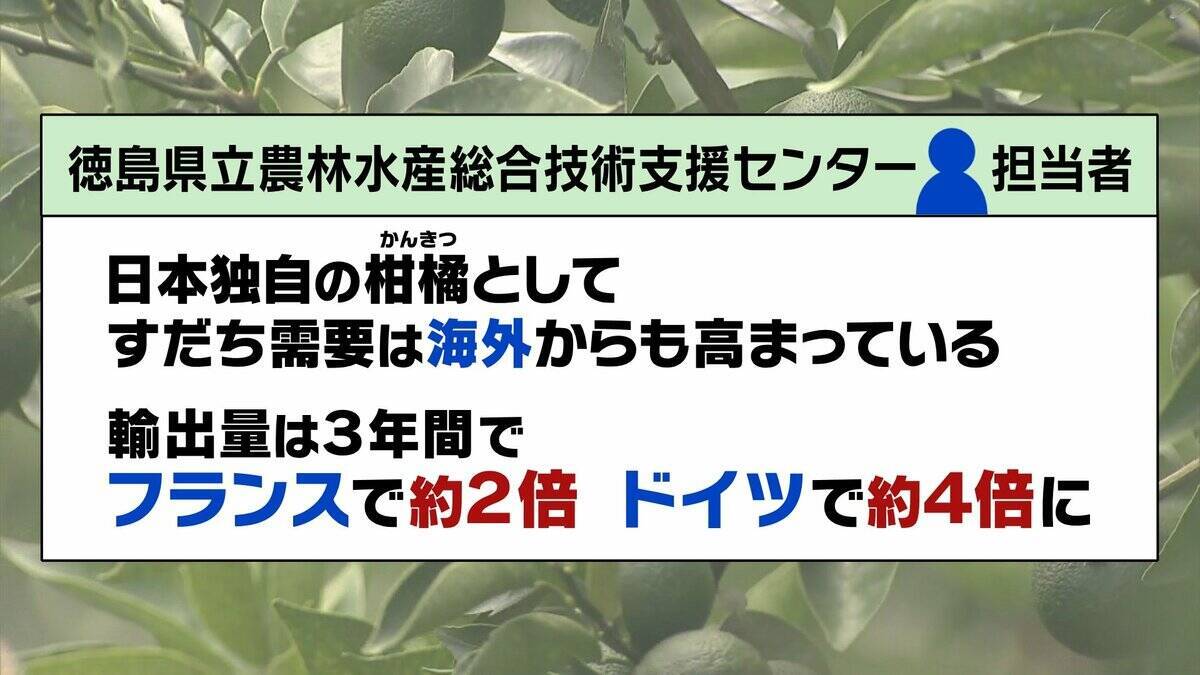 【すだちがピンチ】生産量は約20年で「半減」農家減少・高齢化が背景に？関西人の定番『旭ポンズ』にも影響…新品種『勝浦1号』は苦境救うか
