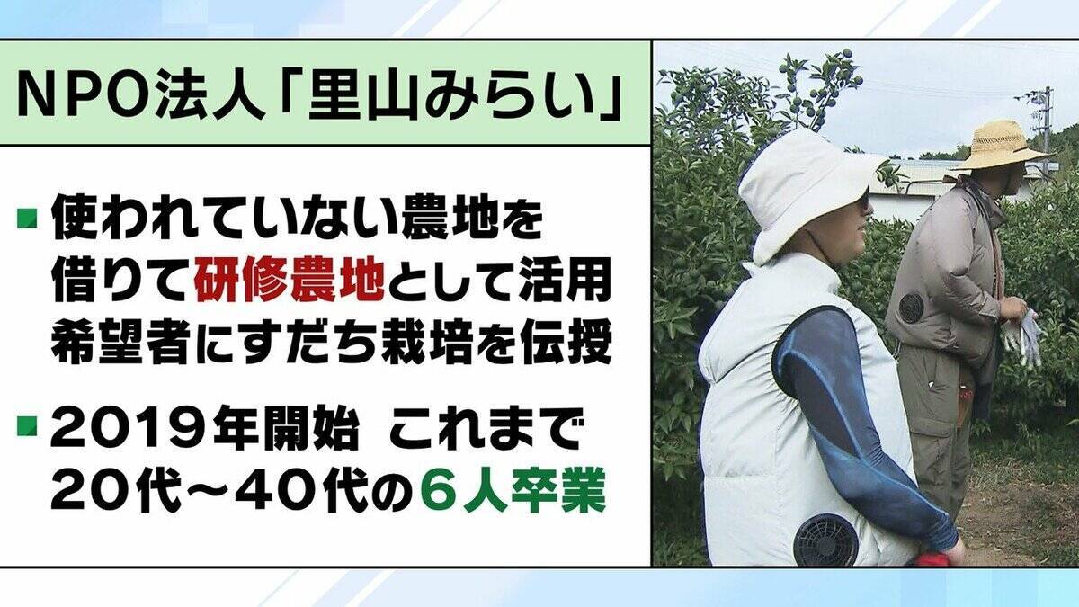 【すだちがピンチ】生産量は約20年で「半減」農家減少・高齢化が背景に？関西人の定番『旭ポンズ』にも影響…新品種『勝浦1号』は苦境救うか