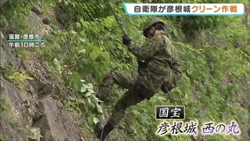 ロープ1本で石垣を下り雑草を剪定…屈強な自衛隊員らによる大掃除　世界遺産目指し『彦根城クリーン作戦』　隊長「大変名誉な任務をいただいた」　滋賀・彦根市