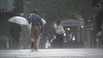 近畿各地でゲリラ雷雨　京都や神戸で激しい大粒の雨…Xでも「雹（ひょう）がやばい」など投稿相次ぐ　14日（木）昼前から夜遅くにかけて局地的に雷雲が発達か
