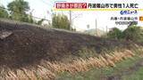 「野焼きをしていたとみられる男性が火に巻き込まれ死亡　畑ののり面約620平方メートルが焼ける　畑の所有者が家族に「野焼きに行ってくる」と伝え外出　兵庫・丹波篠山市」の画像1