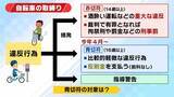 「【自転車の青切符】導入1か月で街に変化は？「どこをどう走れば」「ルール把握していない」困惑の声も　初月の“青切符告知”最多は「一時不停止」　記者が見た実情と課題は…」の画像6