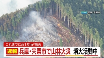 兵庫・宍粟市で山林火災…約1万平方メートル焼失「気が付いたら出火していた」　現在も消火活動中　人的被害は現時点で確認されず