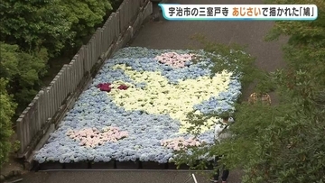 約2万株のあじさい「三室戸寺」で平和と愛の象徴した「鳩」と「ハート」が描かれる　訪れた人「目とくちばしがピンクでかわいい」京都・宇治市