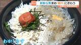 「和歌浦漁港で『朝市』獲れたて魚ずらり！人気は“わかしらす”使った丼「スーパーでは生がないから」　和歌山市」の画像1