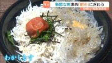 和歌浦漁港で『朝市』獲れたて魚ずらり！人気は“わかしらす”使った丼「スーパーでは生がないから」　和歌山市