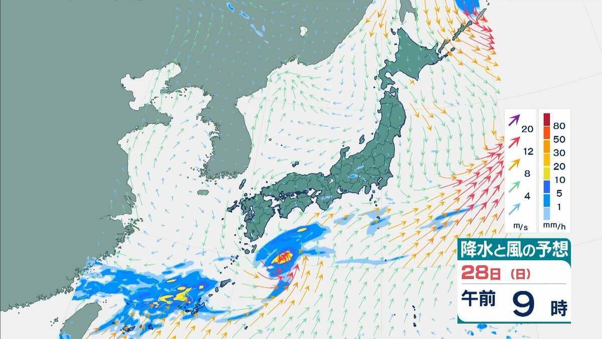 【台風７号】今どこに？夜にかけ関東に接近か…東海地方では「最大２００ミリ」大雨予想も　東京・神奈川・埼玉・千葉など首都圏への影響は？【雨と風の最新シミュレーション】
