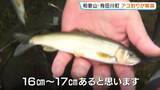 「和歌山・有田川町で「アユ釣り解禁」　今年は稚鮎約2500kgを放流　釣り人待望、雨のなか「初がかり」」の画像1