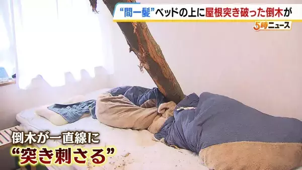 【間一髪】家の屋根突き破り倒木がベッドに直撃、就寝中の男性のすぐ脇に刺さる　「もうちょっとずれていたら本当にやばかった」 緊迫の瞬間語る　幸いケガなし　 強風影響の可能性も　和歌山・白浜町