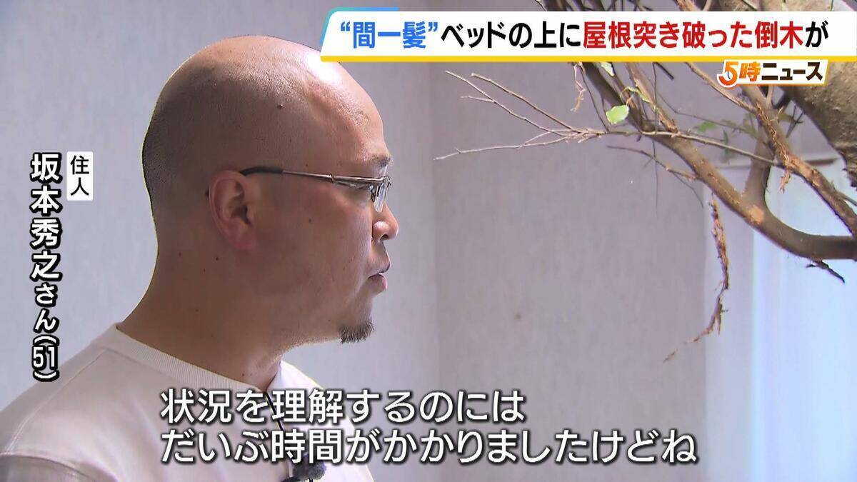 【間一髪】家の屋根突き破り倒木がベッドに直撃、就寝中の男性のすぐ脇に刺さる　「もうちょっとずれていたら本当にやばかった」 緊迫の瞬間語る　幸いケガなし　 強風影響の可能性も　和歌山・白浜町