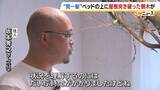 「【間一髪】家の屋根突き破り倒木がベッドに直撃、就寝中の男性のすぐ脇に刺さる　「もうちょっとずれていたら本当にやばかった」 緊迫の瞬間語る　幸いケガなし　 強風影響の可能性も　和歌山・白浜町」の画像2