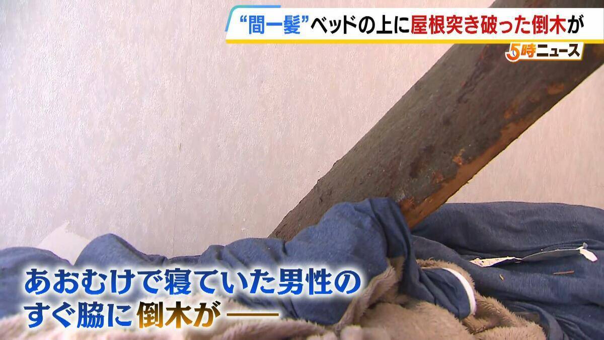 【間一髪】家の屋根突き破り倒木がベッドに直撃、就寝中の男性のすぐ脇に刺さる　「もうちょっとずれていたら本当にやばかった」 緊迫の瞬間語る　幸いケガなし　 強風影響の可能性も　和歌山・白浜町