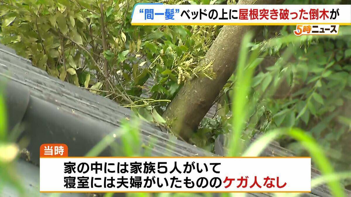 【間一髪】家の屋根突き破り倒木がベッドに直撃、就寝中の男性のすぐ脇に刺さる　「もうちょっとずれていたら本当にやばかった」 緊迫の瞬間語る　幸いケガなし　 強風影響の可能性も　和歌山・白浜町