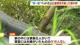 「【間一髪】家の屋根突き破り倒木がベッドに直撃、就寝中の男性のすぐ脇に刺さる　「もうちょっとずれていたら本当にやばかった」 緊迫の瞬間語る　幸いケガなし　 強風影響の可能性も　和歌山・白浜町」の画像4