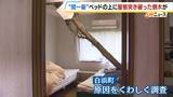 「【間一髪】家の屋根突き破り倒木がベッドに直撃、就寝中の男性のすぐ脇に刺さる　「もうちょっとずれていたら本当にやばかった」 緊迫の瞬間語る　幸いケガなし　 強風影響の可能性も　和歌山・白浜町」の画像5