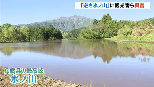 田んぼの水面に映る『逆さ氷ノ山』見られるのは今の時期だけ「本当に美しくて毎日写真を撮りに」　兵庫・養父市