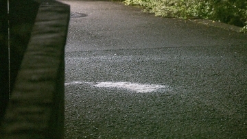 ペダルなし2輪車の4歳男児　軽乗用車の下敷きになり死亡　車運転の68歳女を現行犯逮捕　大阪狭山市