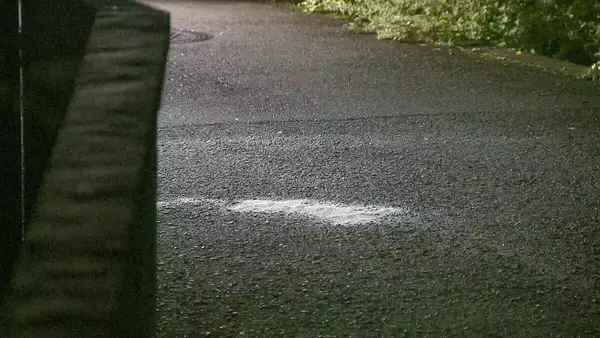 ペダルなし2輪車の4歳男児　軽乗用車の下敷きになり死亡　車運転の68歳女を現行犯逮捕　大阪狭山市