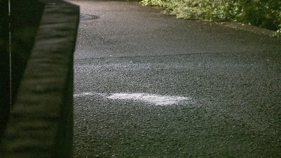 ペダルなし2輪車の4歳男児　軽乗用車の下敷きになり死亡　車運転の68歳女を現行犯逮捕　大阪狭山市