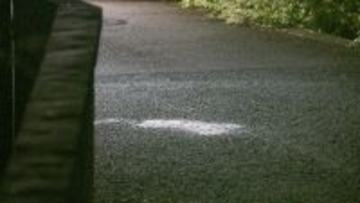 ペダルなし2輪車の4歳男児　軽乗用車の下敷きになり死亡　車運転の68歳女を現行犯逮捕　大阪狭山市