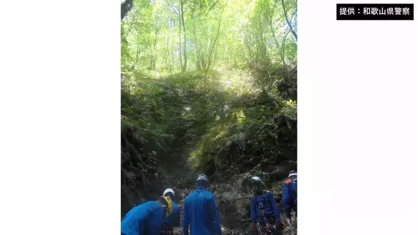 「「今日見つけてもらえなかったら死を受け入れようと…」崖から滑落し複雑骨折などの大けが　“極限状態”の60代男性を山中で救助　和歌山・田辺市の大杉滝付近」の画像